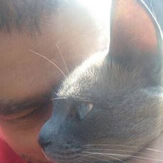 gipec's profile picture. Castigat ridendo mores