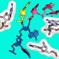 Emory Biochemistry Cell & Developmental Biology (@emorybcdb) 's Twitter Profile