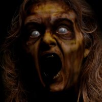 Haunted Hills Estate Scream Park (@scareuniontown) 's Twitter Profile