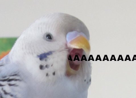 sournightmare69's profile picture. 🍀Взаимная🍀Читающая и никому не нужная вафелька ✨фикрайтер✨Люблю всех и каждого 💕💕💕💕💕Фильмы Марвел навсегда в сердце