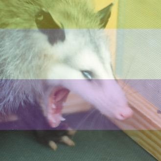 kostasaurus's profile picture. just another mean enby with a nose ring. (they/them) #Blacklivesmatter profile pic by crow—teeth on tumblr.