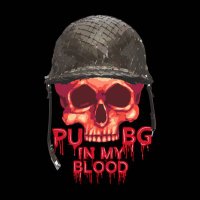 PubgInMyBlood (@rcgarage4) 's Twitter Profile
