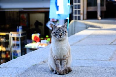 saku158262's profile picture. 岡山中心で撮影活動してます