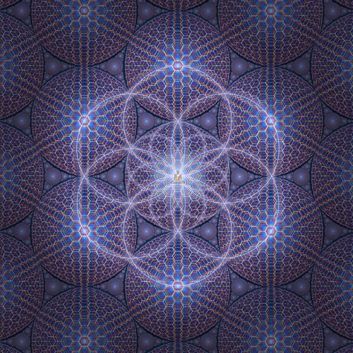 SyntropicLife's profile picture. 