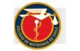 Colegio de Matronas (@matronasdechile) Twitter profile photo