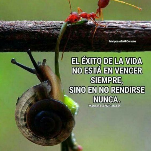 WilliamY_'s profile picture. 