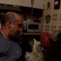 Carlos Barreto (@cc37f08a8fc440e) 's Twitter Profile