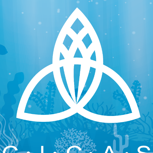 grupocicas's profile picture. Somos Grupo de profesionales con más de 30 años de experiencia en producción agrícola tropical y en la administración de cadenas productivas.