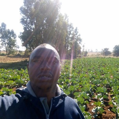 Farmer
Crop scientist
Farmer adviser/consultant
Optimist
Greatest philanthropist coz I'm a farmer