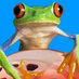 ArborTrek (@arbortrek) Twitter profile photo ArborTrek (@arbortrek) Twitter profile photo