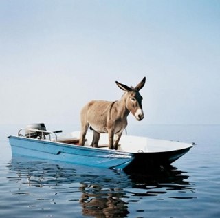 anedebout's profile picture. 