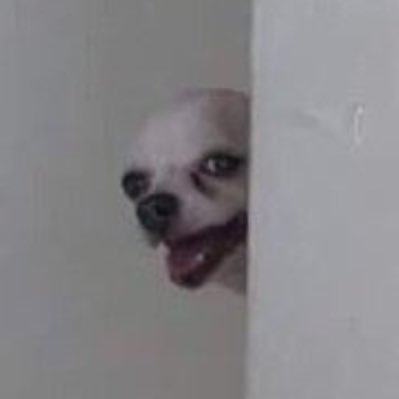 probabIysad's profile picture. 