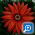 Tracy Burris - @tburris - Twitter