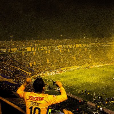 Calex07's profile picture. Tigre de corazón 🐯💛💙 Ex Aldine student, Maestro de Geografía en la SEP, Músico percusionista, jugador de soccer amateur y gamer. @PerfilTigre