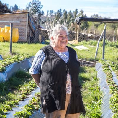 Mujeres productoras del Sur, es una iniciativa en el marco de la ejecución del Ss de Asesoría Técnica para 42 mujeres campesinas en la Región de los Lagos