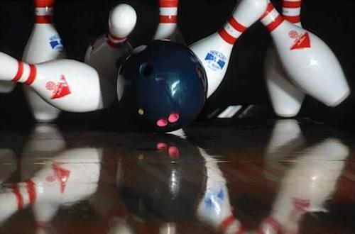 Our chapter's Silent Auction is  not so silent this year! Join us for fun, food, fundraising and bowling!