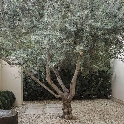 carlosc27501503's profile picture. Inquieto de corazón, pescador por pasión