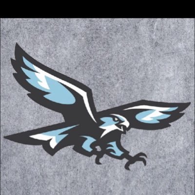 Nighthawks ⚾️