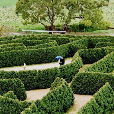 maze_runner88's profile picture. 구겨진 종이 펴는 중