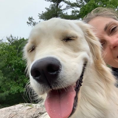 rtsbeacon's profile picture. 