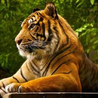 Sonia Pineda (@soniapi42953956) 's Twitter Profile