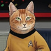 Captain Cat βοΈπΊπΈπ (@michaelhenry870) Twitter profile photo Captain Cat βοΈπΊπΈπ (@michaelhenry870) Twitter profile photo