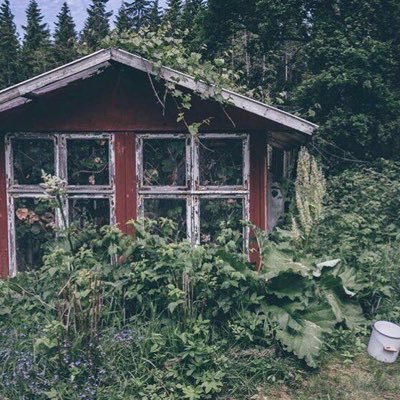 nnooffeee's profile picture. أطمح لي الكثير واعلم ان لي رب في السماء يحقق لي ما اتنمى ...