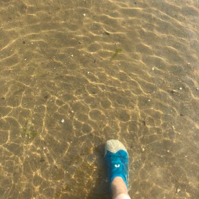 感謝で思い通りの素晴らしい毎日! /FP、漫画、海、自分の時間、カフェ、旅行 /私は好奇心で出来ている☆少しリウマチ日記