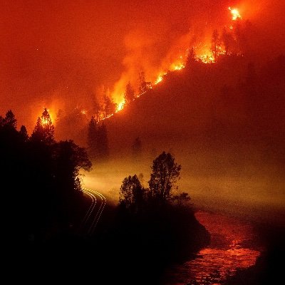 logansrun18's profile picture. The Future is Now.