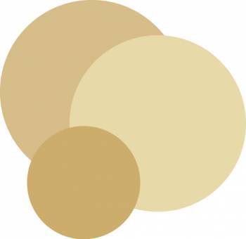 Programs to support transracial foster and adoptive parents, multiracial children and families and the professionals who serve them.