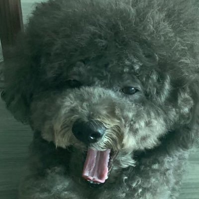 _Scqrs_'s profile picture. I like video games