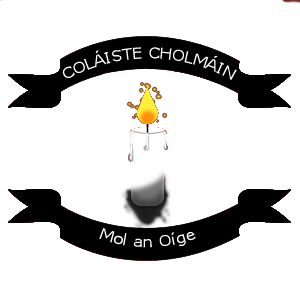 St Colman's College Profile