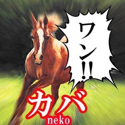 SP06371779's profile picture. 