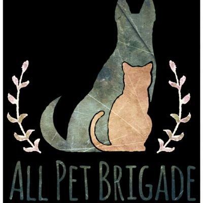 AllPetBrigade Profile Picture