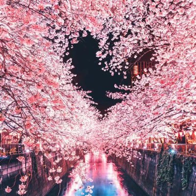 sydneycouple1's profile picture. 我们希望和悉尼夫妻尝试不同的生活方式，从朋友做起，定期活动，不纠缠，不介入对方生活，互相尊重的理解。微信：sydsismaster 企鹅：1799578636。不接受单男，谢谢