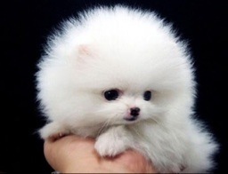 rio_funk's profile picture. おとなしいけど目立ちたがり、だけど恥ずかしがり屋な音楽好き