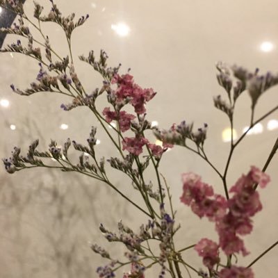 non16526115's profile picture. 苦悩を語る