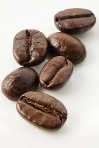 I am a 40 year old farmer living in Jamaica. I produce the best coffee in the world - Blue Mountain Coffee