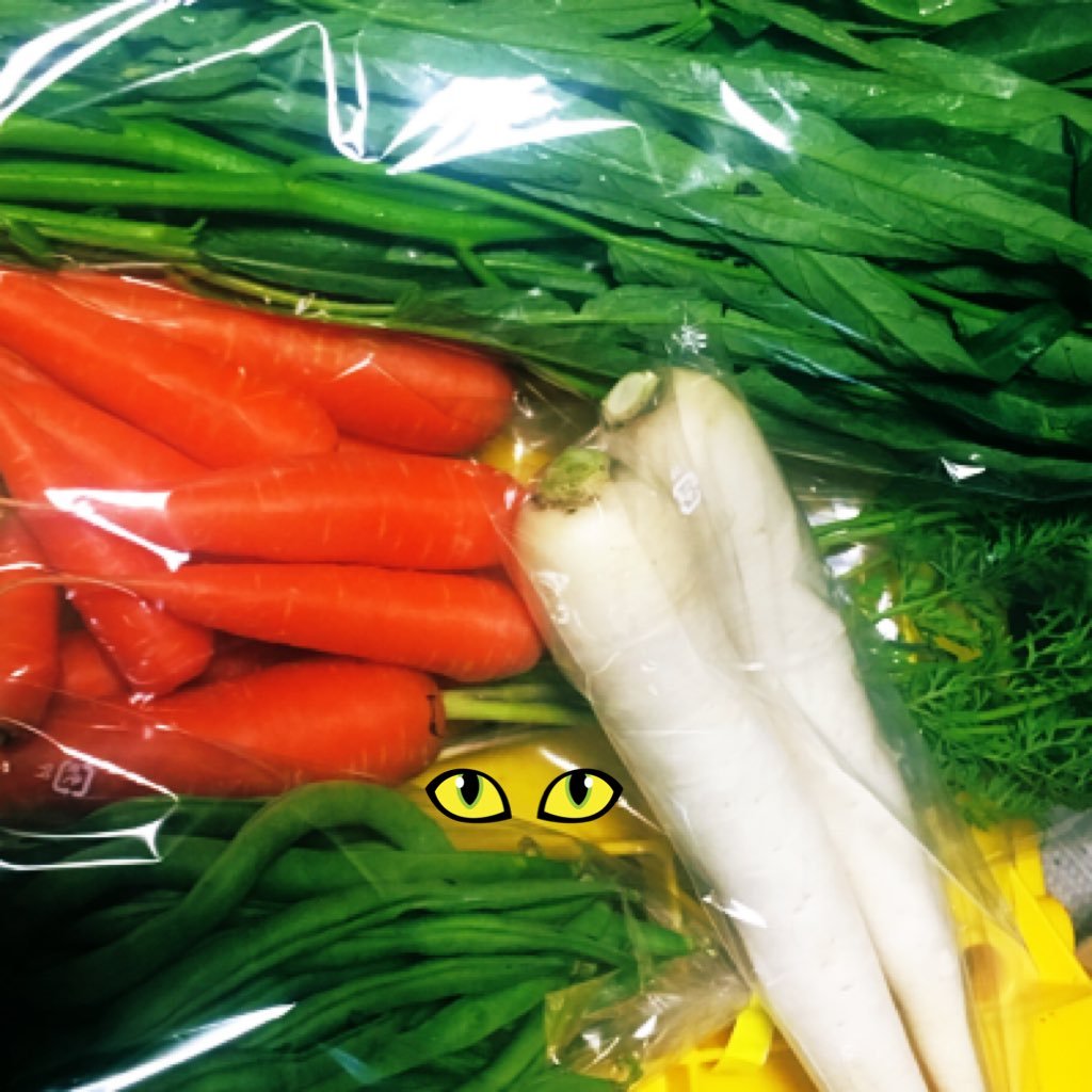 さいたま無農薬・自然栽培の野菜マーシーズファームさんのプロフィール画像
