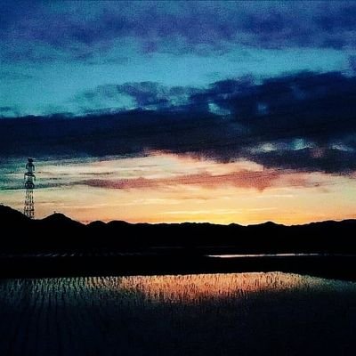 MIZUKIさんのプロフィール画像