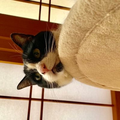 polyppolyp77's profile picture. 渓流ルアーとワカサギ釣り大好き。最近海釣りも始めました。