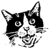 Cat for Light (@catforlight) Twitter profile photo Cat for Light (@catforlight) Twitter profile photo