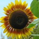 thomas bosman - @thomas2811 - Twitter