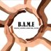 BAME Project (@BameProject) Twitter profile photo