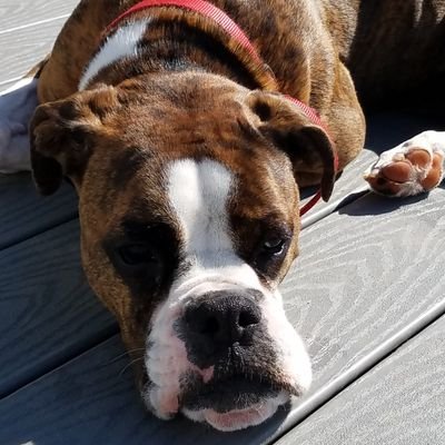 Shameace76's profile picture. 