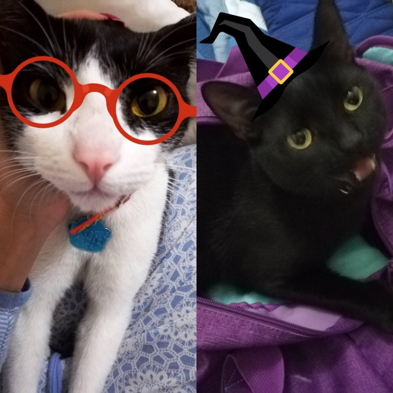 Cami82205292's profile picture. 