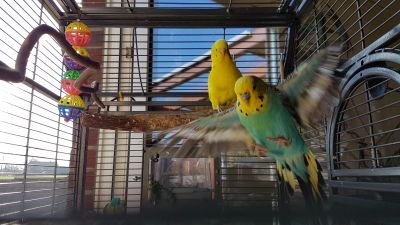 Lisel041's profile picture. .