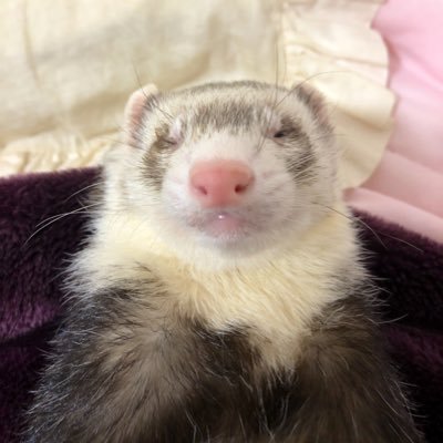 たかひとさんのプロフィール画像