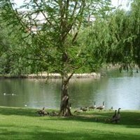 A publishing page for my books and stories.