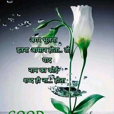 ArvindK16319091's profile picture. Arvind kumar jayswal